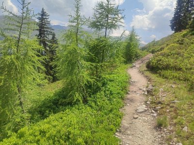 Wanderung nach Hochfügen