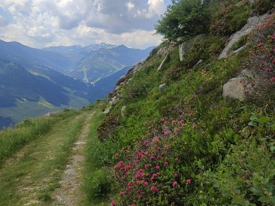 Wanderung nach Hochfügen