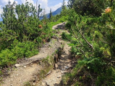 Wanderung nach Hochfügen