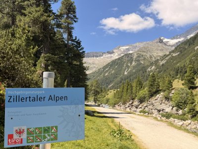... in die Zillertaler Alpen