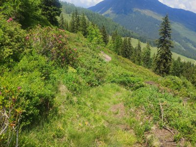 Wanderung nach Hochfügen
