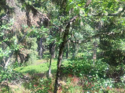 Wanderung nach Hochfügen